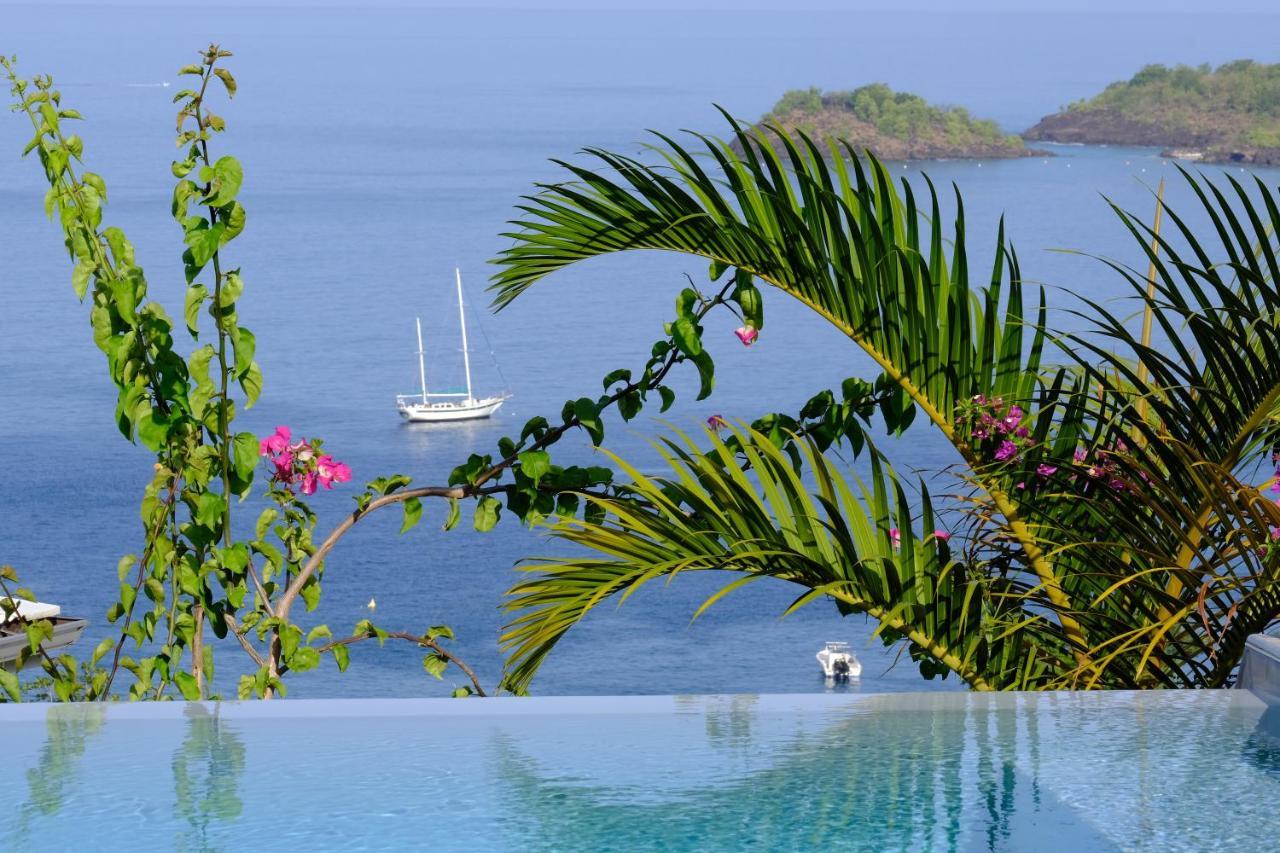 Sunset Palm - Villa Creole Avec Piscine Face Au Coucher De Soleil Et A La Reserve Cousteau Буйянт Екстериор снимка