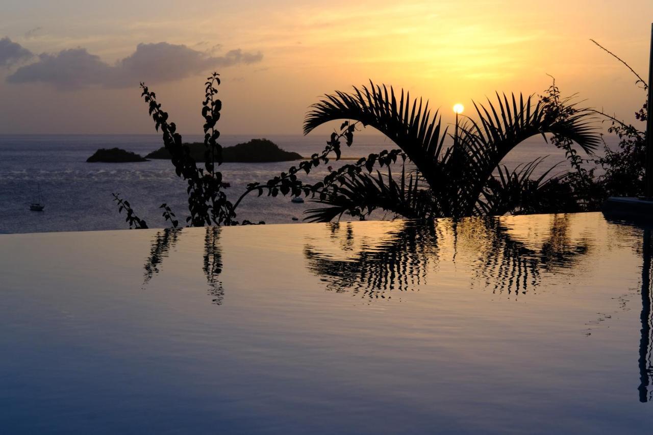 Sunset Palm - Villa Creole Avec Piscine Face Au Coucher De Soleil Et A La Reserve Cousteau Буйянт Екстериор снимка