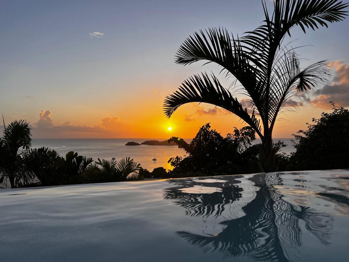 Sunset Palm - Villa Creole Avec Piscine Face Au Coucher De Soleil Et A La Reserve Cousteau Буйянт Екстериор снимка